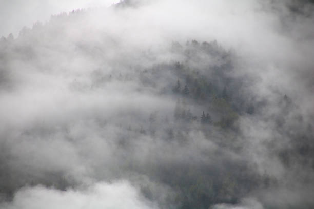 istock foggy clouds rising from dark alpine mountain forest 965492690