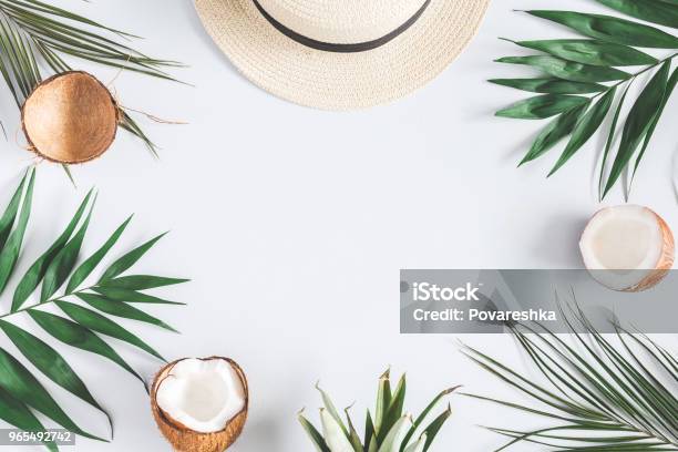 Foto de Folhas De Palmeira Tropical Chapéu Coco Sobre Fundo Azul Pastel e mais fotos de stock de Verão