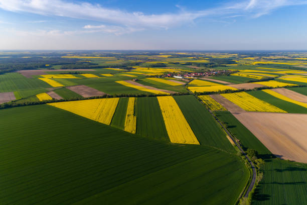 istock Aerial view on the small village 965495470