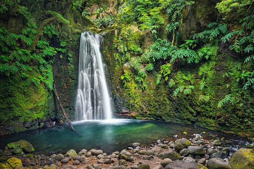 Salto do Prego waterfall lost in the rainforest, Sao Miguel Island, Azores, Portugal