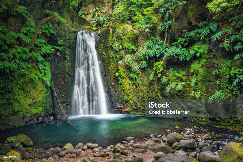 Salto do Prego waterfall, Azores, Portugal Salto do Prego waterfall lost in the rainforest, Sao Miguel Island, Azores, Portugal Waterfall Stock Photo