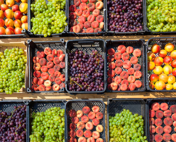 istock collection of assorted fruits 965503154
