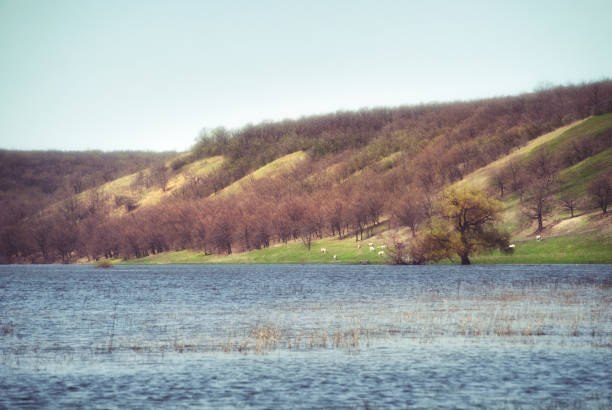 Meadows and pastures in hilly valley flooded with a spring river stream.