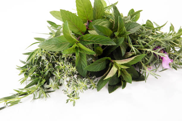 istock bunch of garden fresh herbs. 965507336