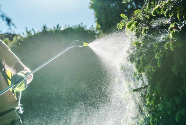 istock Gardener Insecticide Job 965510534