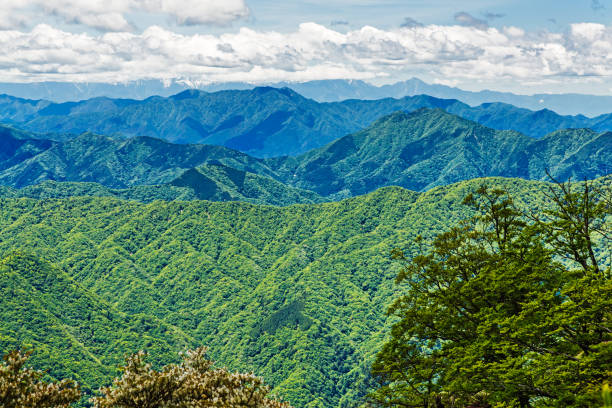 istock A mountain of fresh green 965511468
