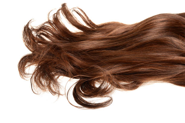 largo y rizado cabello castaño morena aislado - cabello castaño fotografías e imágenes de stock