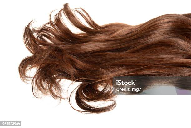 고립 된 긴 곱슬 머리 갈색 머리 털에 대한 스톡 사진 및 기타 이미지 - 털, 컷아웃, 긴 머리