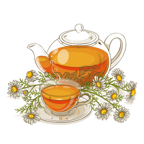 ромашковый чай иллюстрация - chamomile plant glass nature flower stock illustrations