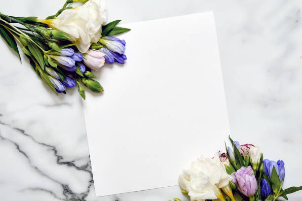 istock Mockup card with plants. Postcard and flowers. 965528026