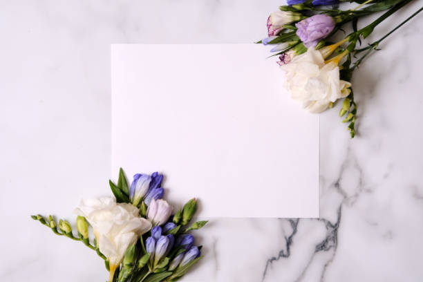 istock Mockup card with plants. Postcard and flowers. 965528544