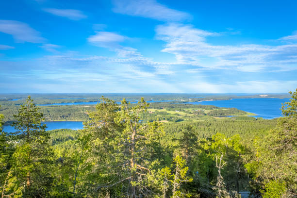 istock Summer landscape from Sotkamo, Finland. 965532466