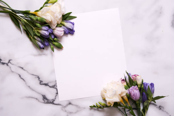 istock Mockup card with plants. Postcard and flowers. 965532586