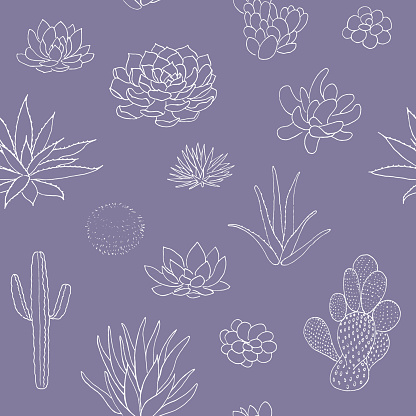Succulent seamless pattern, hand drawn vector illustration. outline sketch chalk style. Succulent collection. nature elements. for cards, posters, banners, invitations greeting cards prints