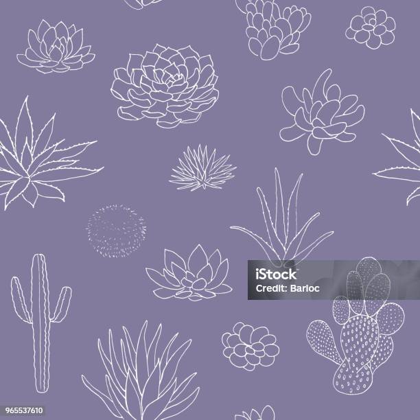 Succulent Seamless Pattern Hand Drawn Vector Illustration Outline Sketch Chalk Style Stock Illustration - Download Image Now