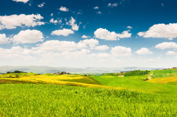 istock Green fields and blue sky in countryside, Italy 965538162
