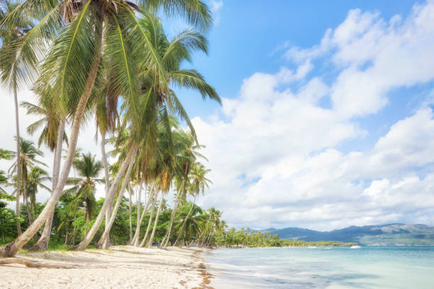 istock Vacation in Dominican Republic 965546404