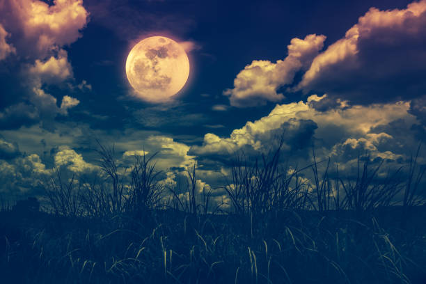 яркая полная луна над дикой природой области, спокойствие природы фона. - kd стоковые фото и изображения