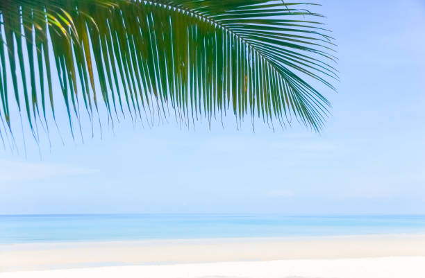 istock Sand beach and Beautiful sea background in summer. 965550710