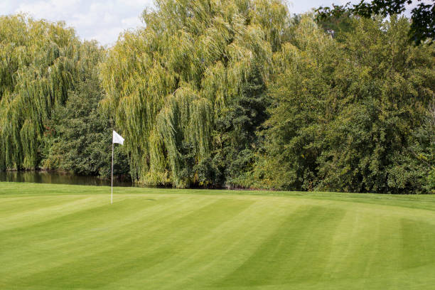 istock Green clean golf field with one white flag 965550726