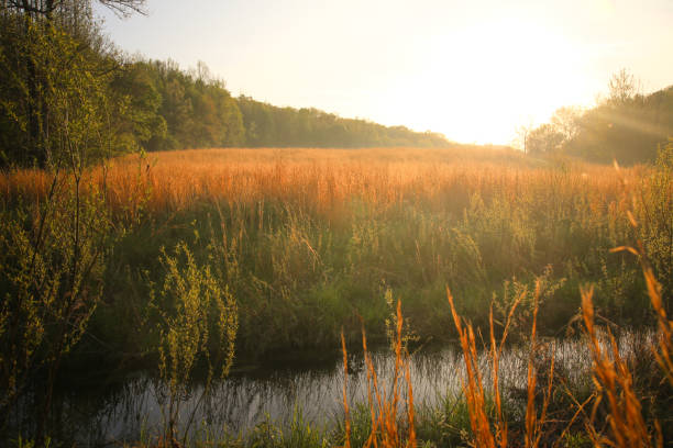 istock Tennessee Rolling Hills Country Tall Grass Landscape 965552470