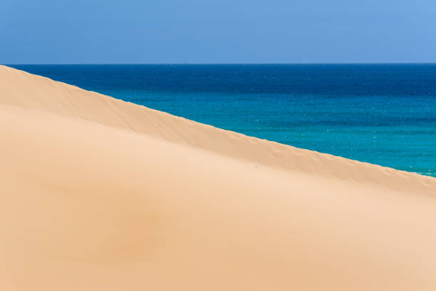 View of the dunes and sea oates of North Carolina's Outer Banks.