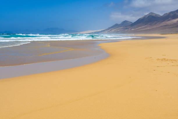 istock Alone on Cofete Beach in Fuerteventura, Spain 965570074