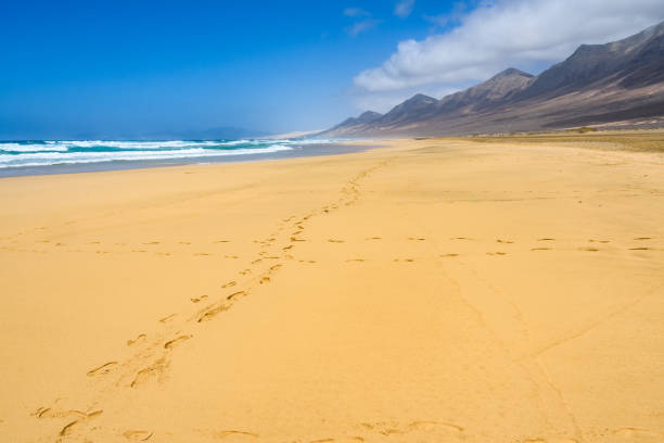 Alone on Cofete Beach in Fuerteventura, Spain stock photo