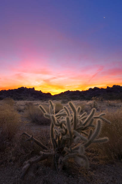 Sunrise in Anza Borrego Desert State Park, CA