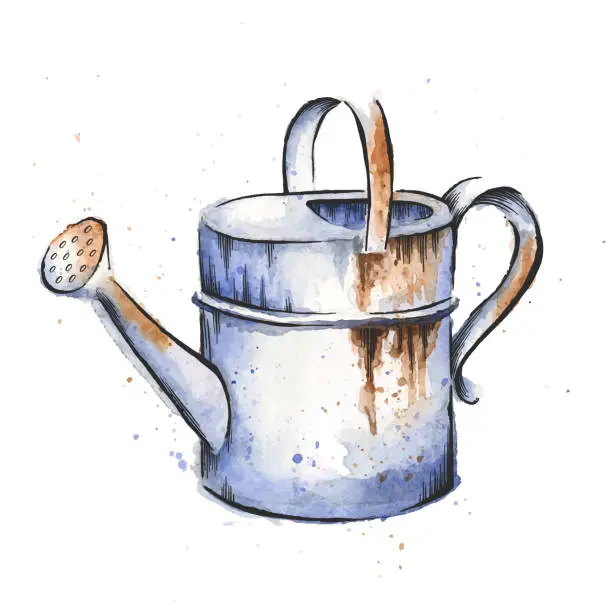 Vector illustration of Watering Can Watercolor and Ink Drawing