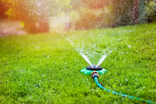 Photo of garden sprinkler watering grass at home backyard