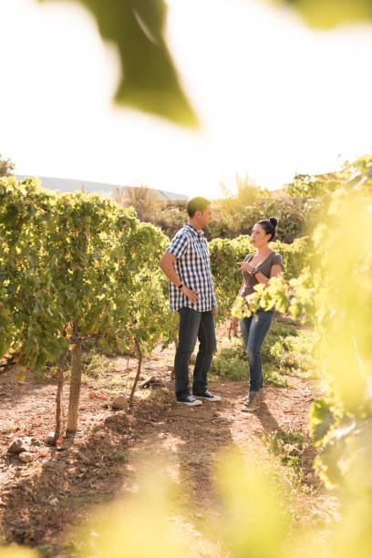 istock Two people talking in the vineyards 965615132