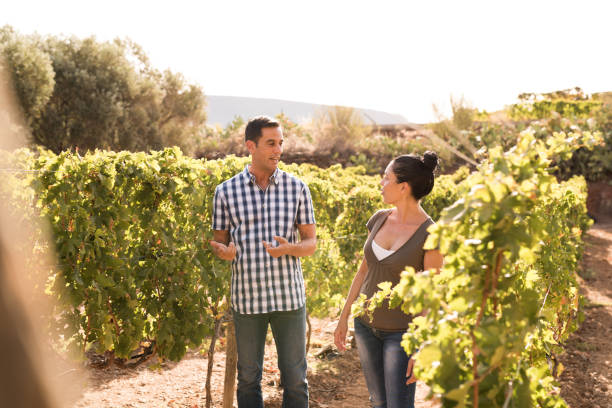 istock Two persons enjoying themselves in the vineyards 965617042