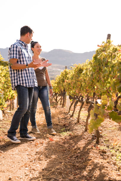 istock Man and a woman standing in the winelands 965617612