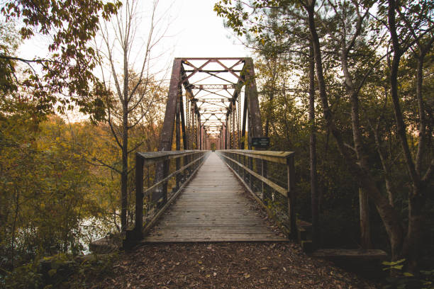 istock The Palmetto Trail Peak to Prosperity Passage 965625344