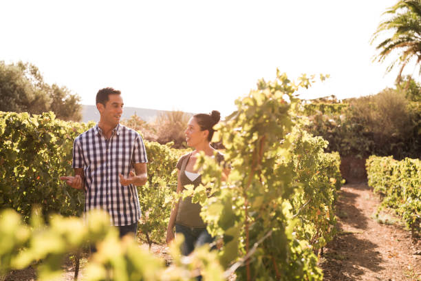 istock Man and woman walking through the vineyards 965625736