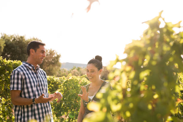 istock Two people having a chat in the vineyards 965625852
