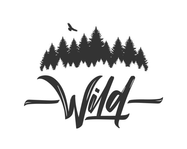 ilustrações de stock, clip art, desenhos animados e ícones de hand drawn type lettering of wild with silhouette of pine forest and hawk. brush calligraphy. typography design. - forest