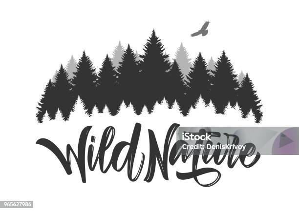 Vector Illustration  Dessinés À La Main Type De Lettrage De La Nature Sauvage Avec La Silhouette De Forêt De Pins Et De Faucons Vecteurs libres de droits et plus d'images vectorielles de Pin