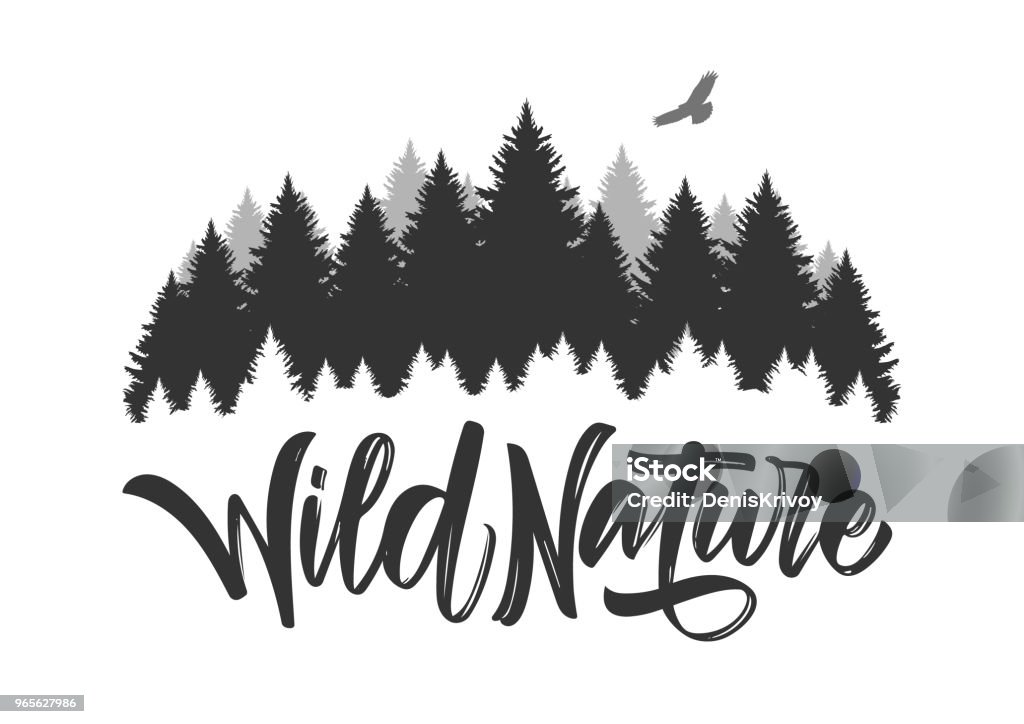 Vector illustration: Hand drawn type lettering of Wild Nature with silhouette of Pine Forest and Hawk. Vector illustration: Hand drawn type lettering of Wild Nature with silhouette of Pine Forest and Hawk. Brush calligraphy. Typography design. Pine Tree stock vector