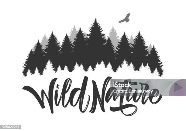 Vector Illustration Hand Drawn Type Lettering Of Wild Nature With Silhouette Of Pine Forest And Hawk Stock Illustration - Download Image Now