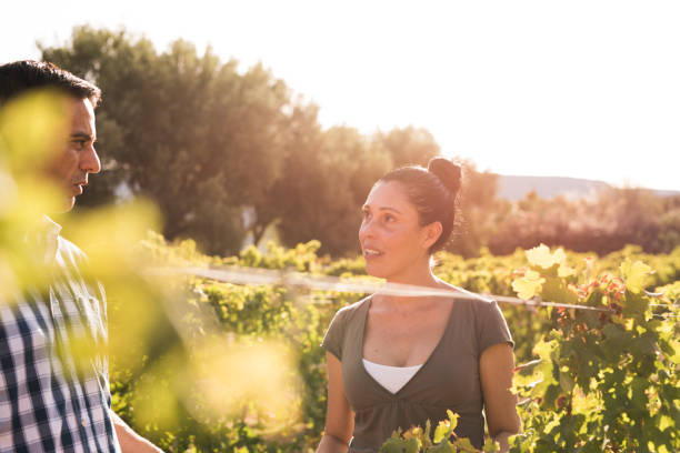 istock Attractive brunette and man in the vineyards 965628012