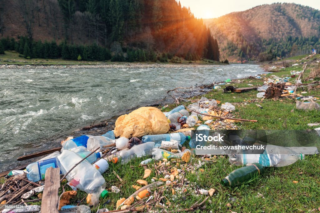 spazzatura di plastica sulla riva del fiume - Foto stock royalty-free di Spazzatura