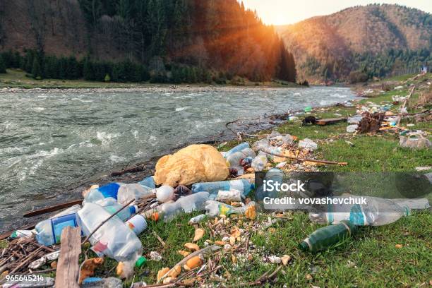 Plastic Garbage On The River Bank Stock Photo - Download Image Now - Garbage, River, Pollution