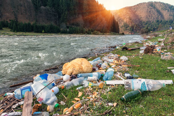 plastic garbage on the river bank - natural disaster imagens e fotografias de stock