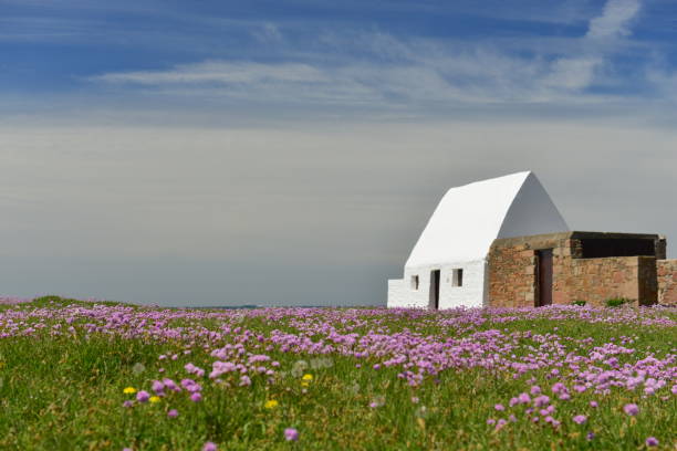 don hilton guardhouse, jersey, u.k. - jersey uk nature landscape imagens e fotografias de stock