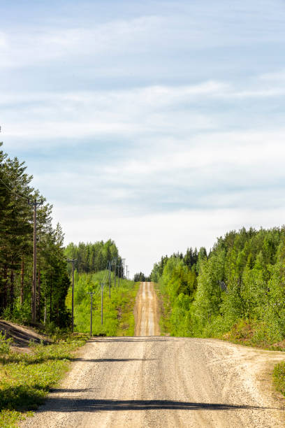 istock Gravel Road in Sweden 965678148
