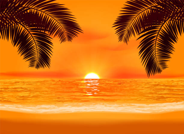 entspannung-sonnenuntergang auf einem strand-illustration - flussufer sonne stock-grafiken, -clipart, -cartoons und -symbole