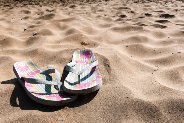 istock Colorful flip flop sandals on the sandy beach 965696084