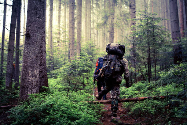 istock Active healthy man hiking in beautiful forest 965699490